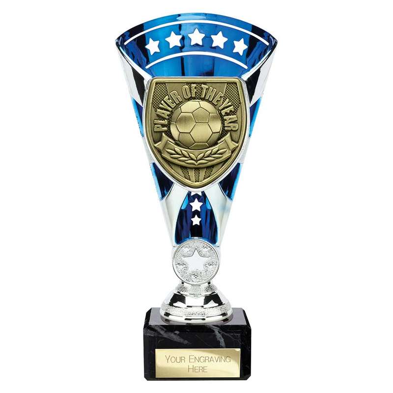 Cobra Star Cup Player of Year