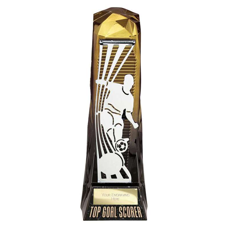 Shard Football Male Top Goal Scorer